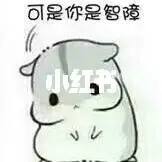 borneo poker apk ”*************** ***************** Misteri MRI Universitas Yonsei